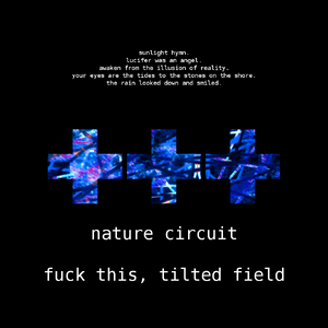 Fuck This, Tilted Field cover